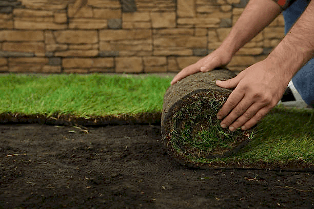 Turf Installation Image 2