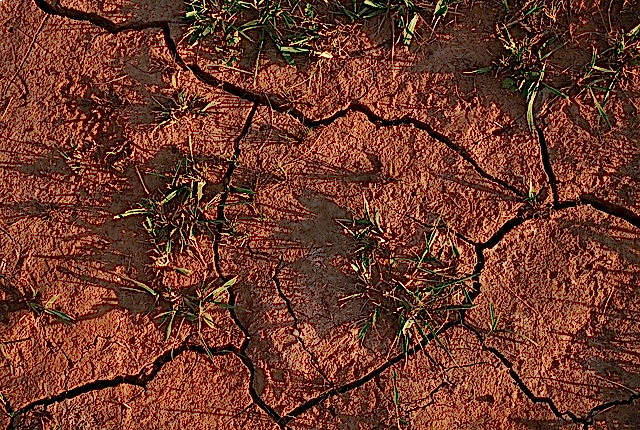 Turf Installation Image 3