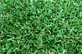 Lawn Shape Image 2