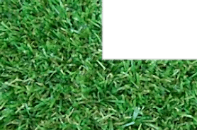 Lawn Shape Image 3