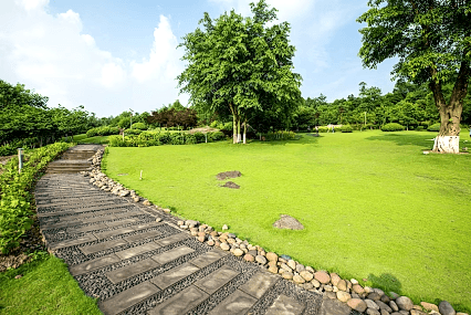 Landscaping Image